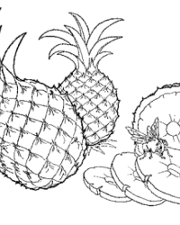 Malvorlage Ananas kostenlos 4