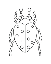 Malvorlage Käfer kostenlos 2