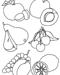 Malvorlage Obst Früchte kostenlos 1