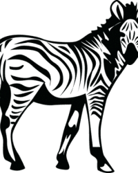 Malvorlagen von Zebra kostenlos zum Ausdrucken